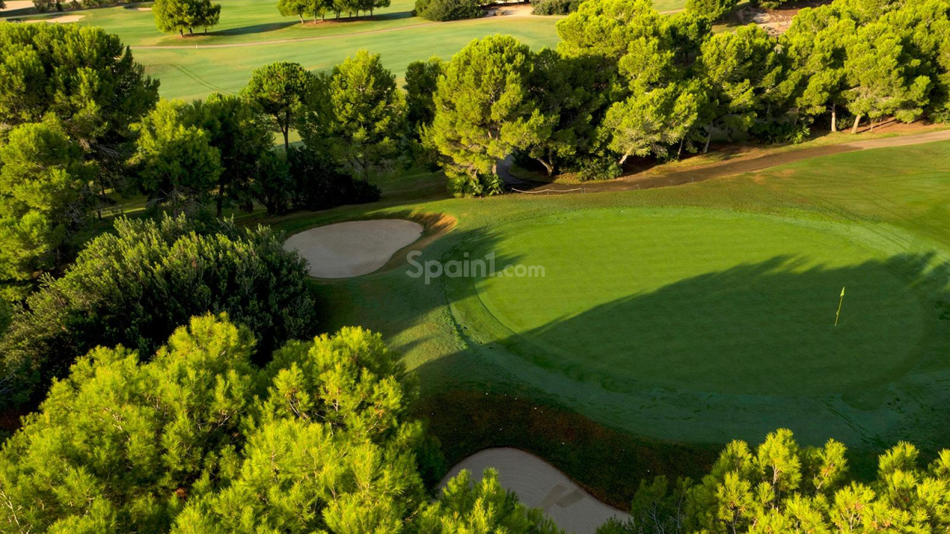 Nueva construcción  - Villa -
Pilar de la Horadada - Lo Romero Golf