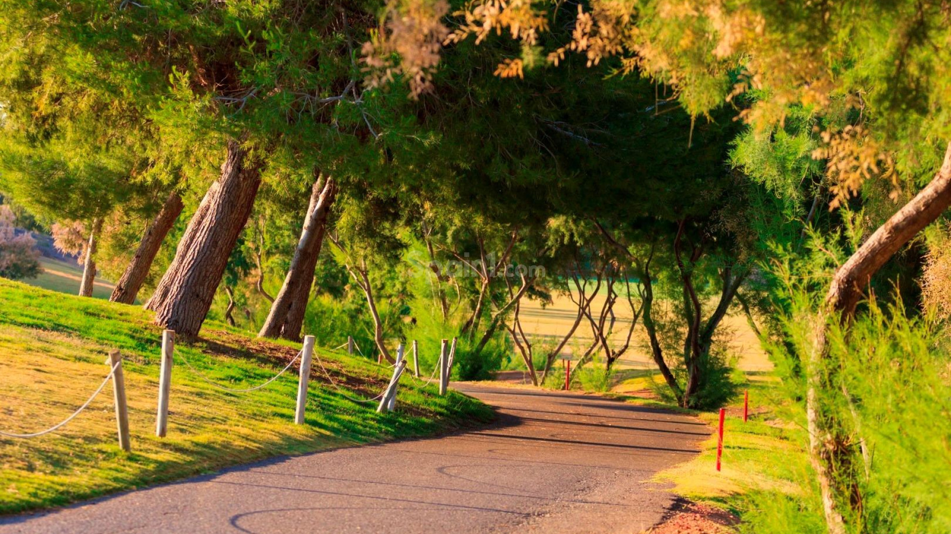 Nueva construcción  - Villa -
Pilar de la Horadada - Lo Romero Golf