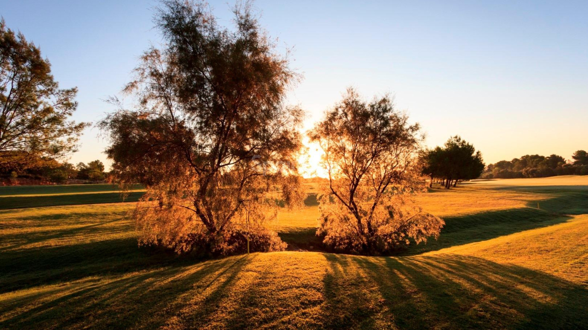 Nueva construcción  - Villa -
Pilar de la Horadada - Lo Romero Golf