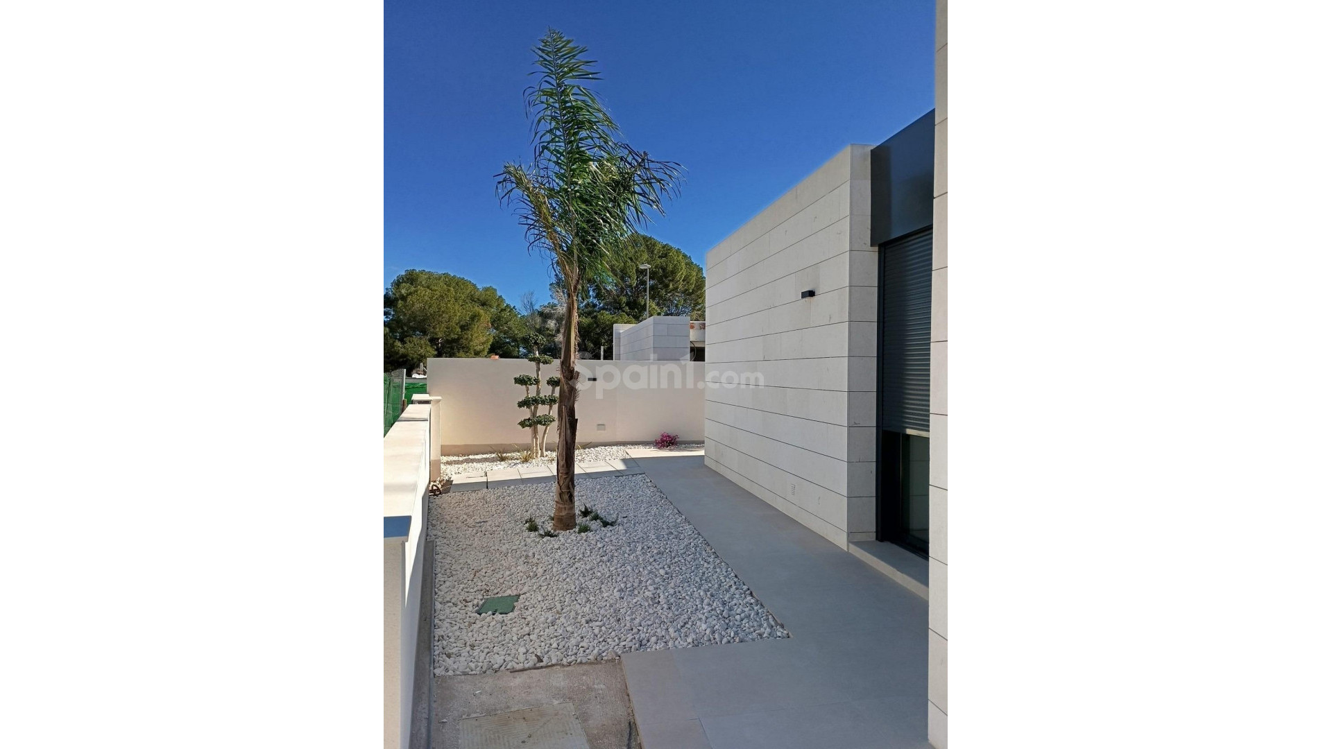 Nueva construcción  - Villa -
Pilar de la Horadada - Roda Golf