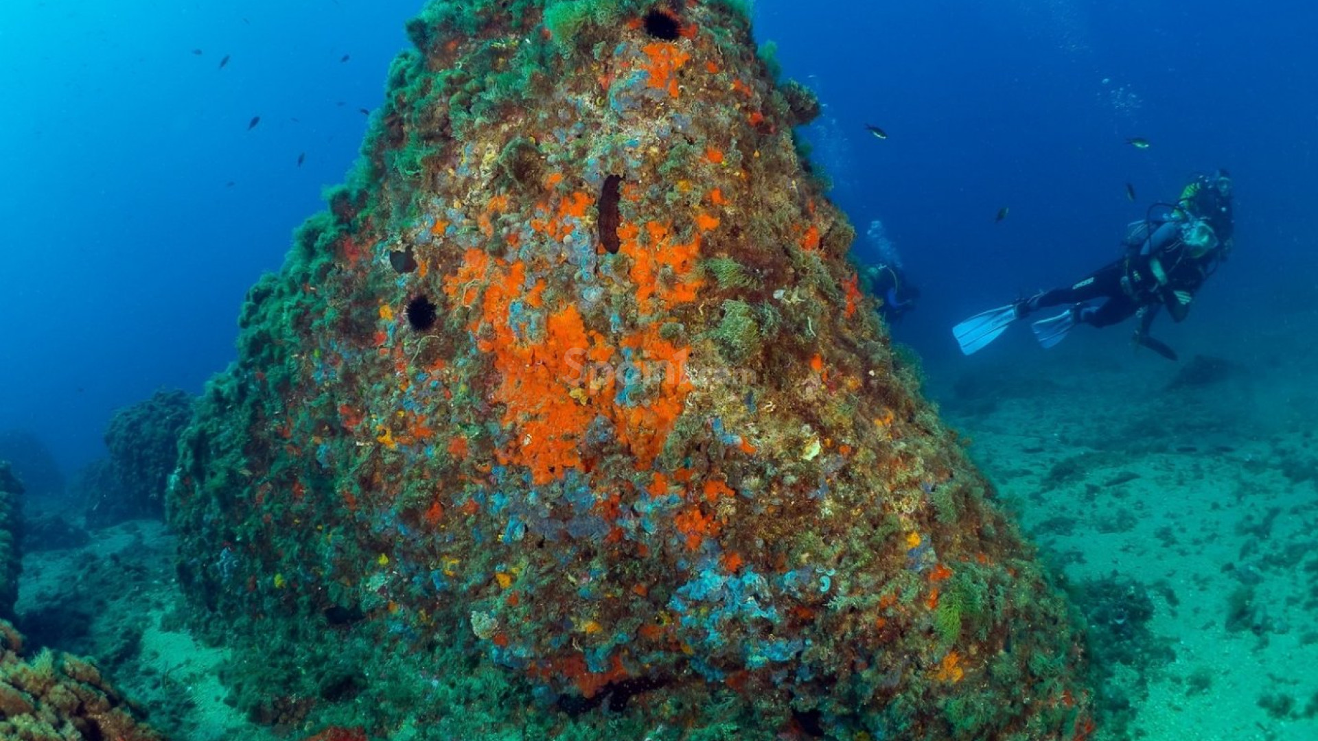 Nybygg - Leilighet -
Aguilas - Isla Del Fraile