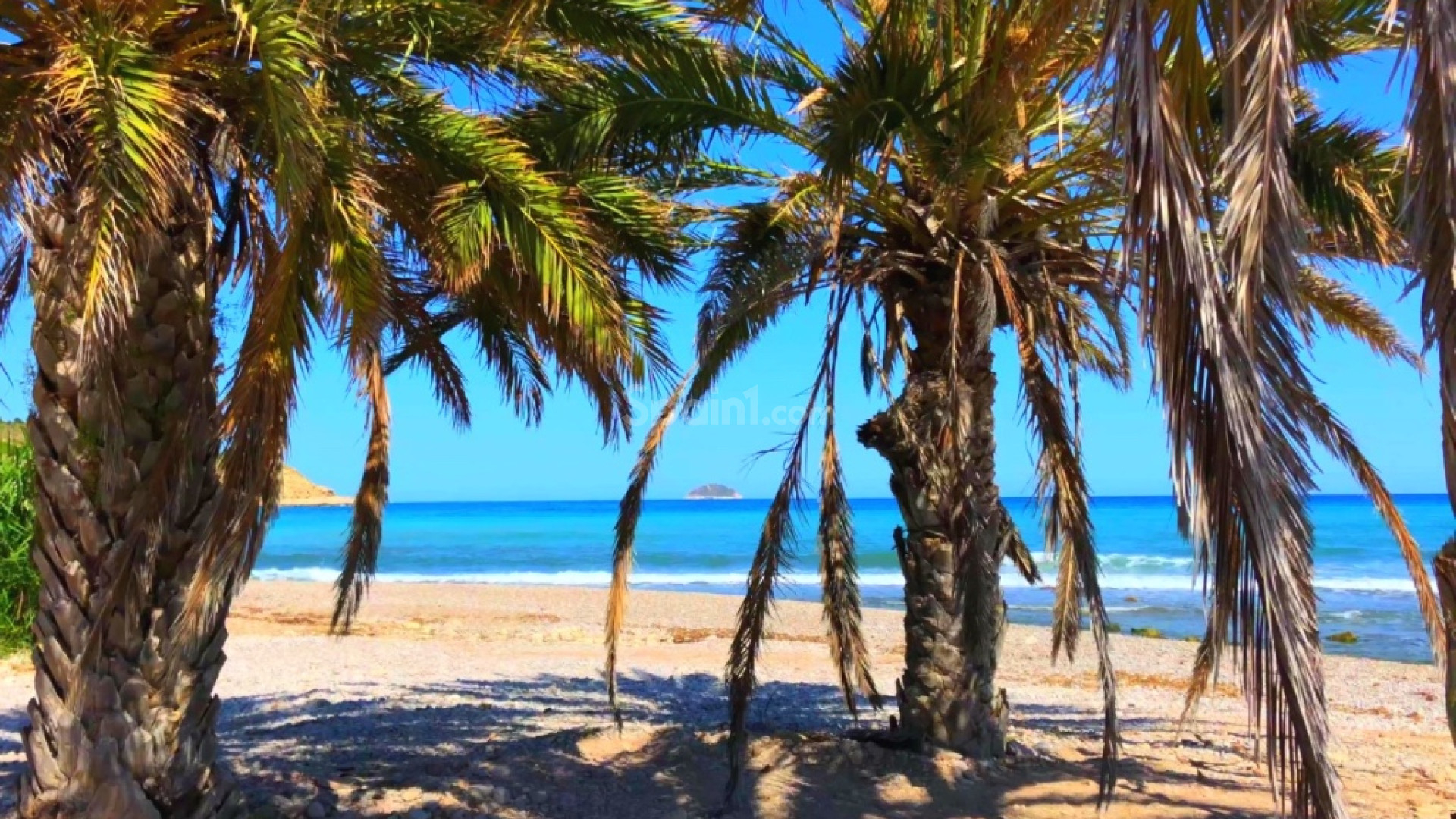 Nybygg - Leilighet -
Benidorm - Alicante