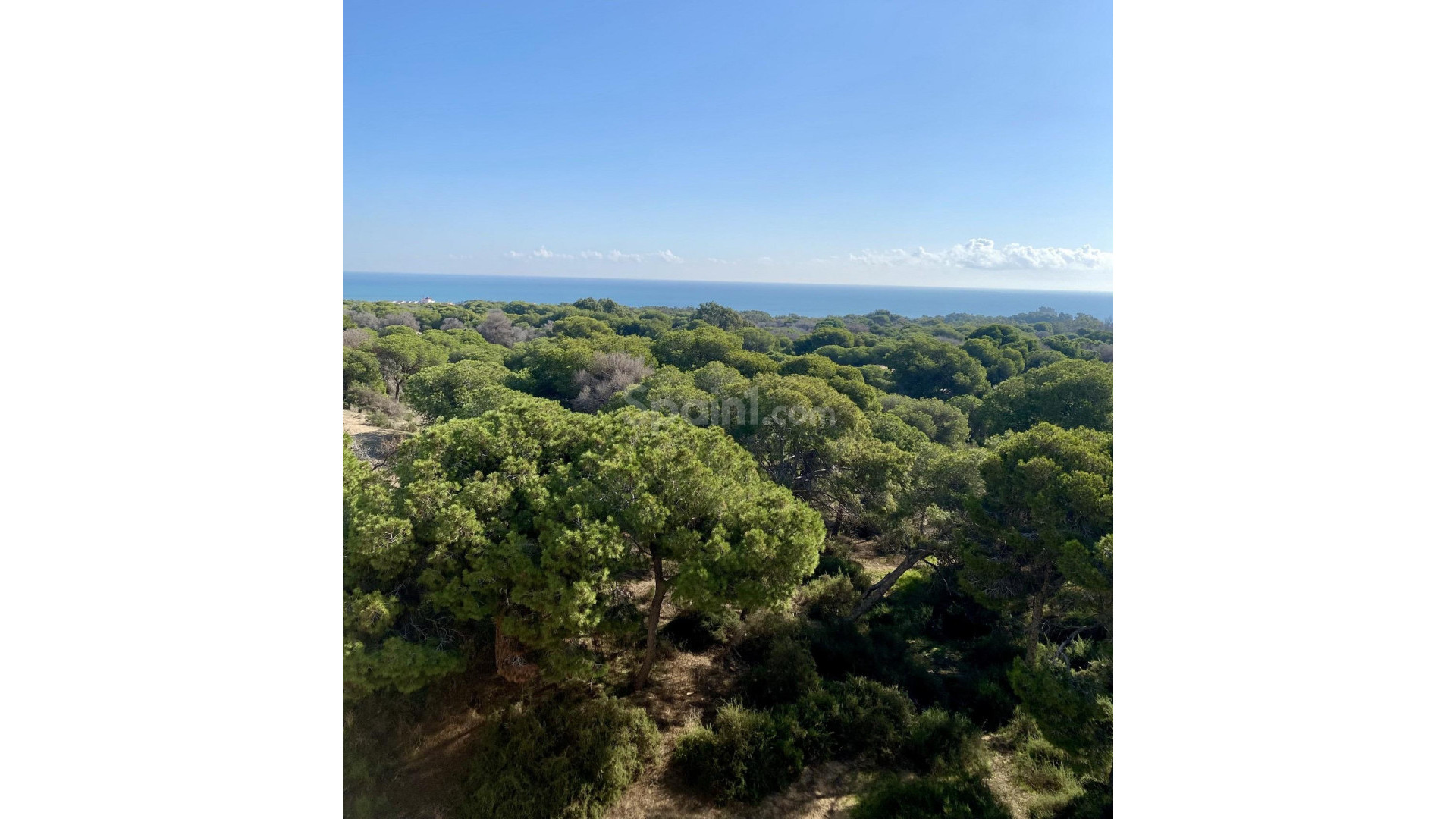 Nybygg - Leilighet -
Guardamar del Segura
