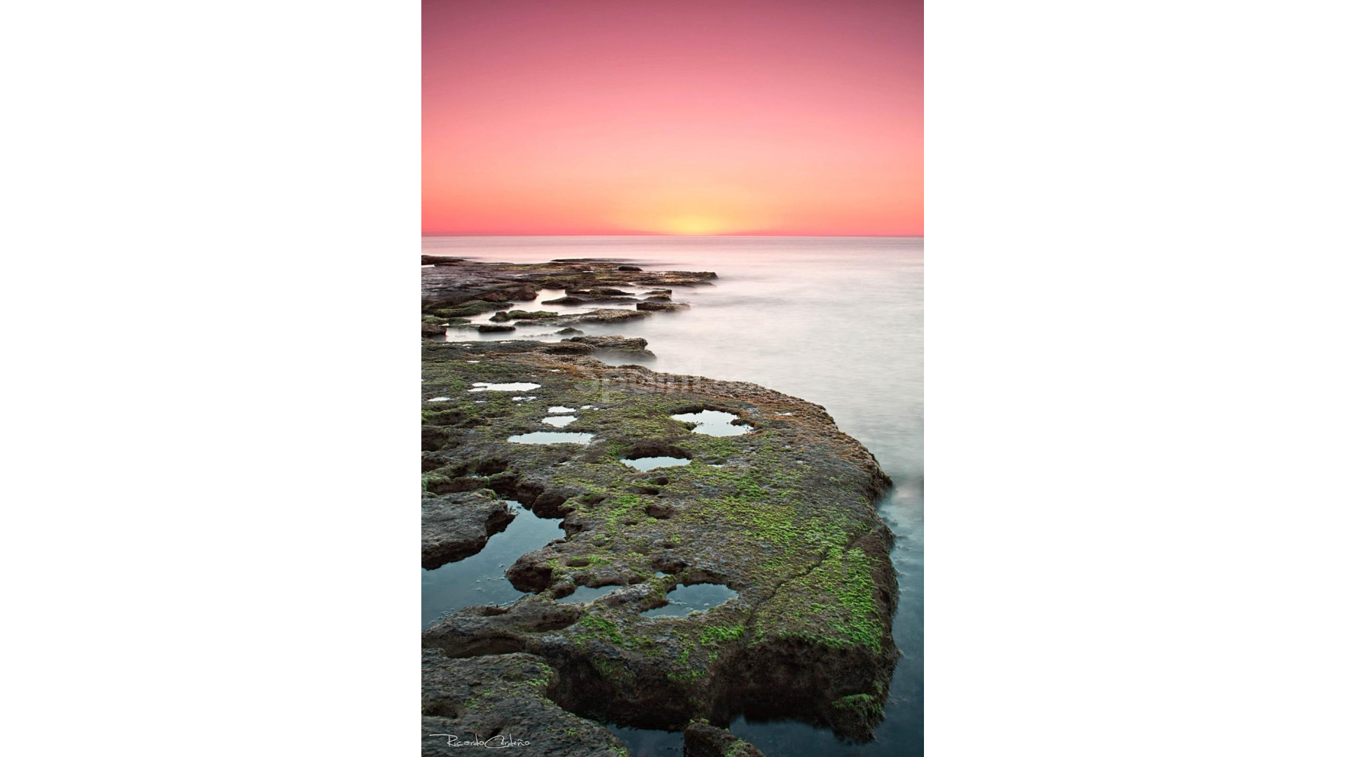 Nybygg - Leilighet -
Torrevieja - Altos del Sol