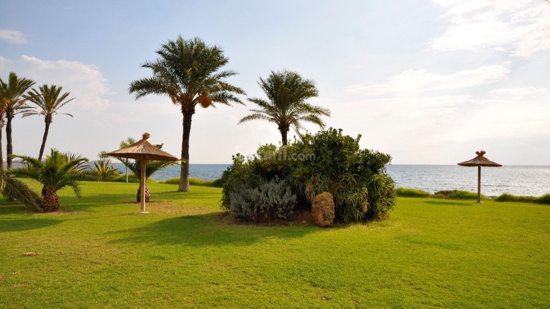 Nybygg - Leilighet -
Torrevieja