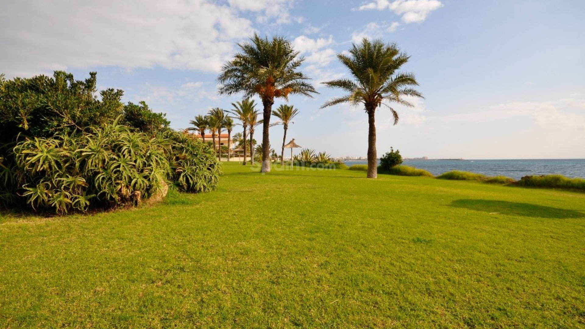 Nybygg - Leilighet -
Torrevieja