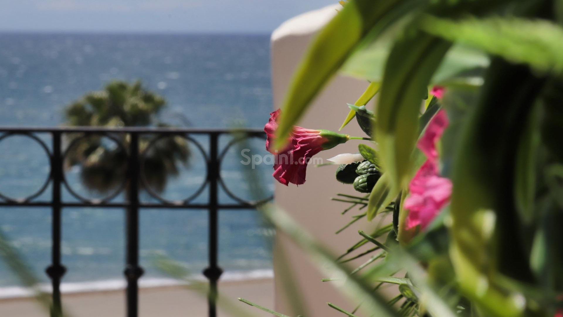 Nybygg - Penthouse -
Estepona - El Padron-el Velerin