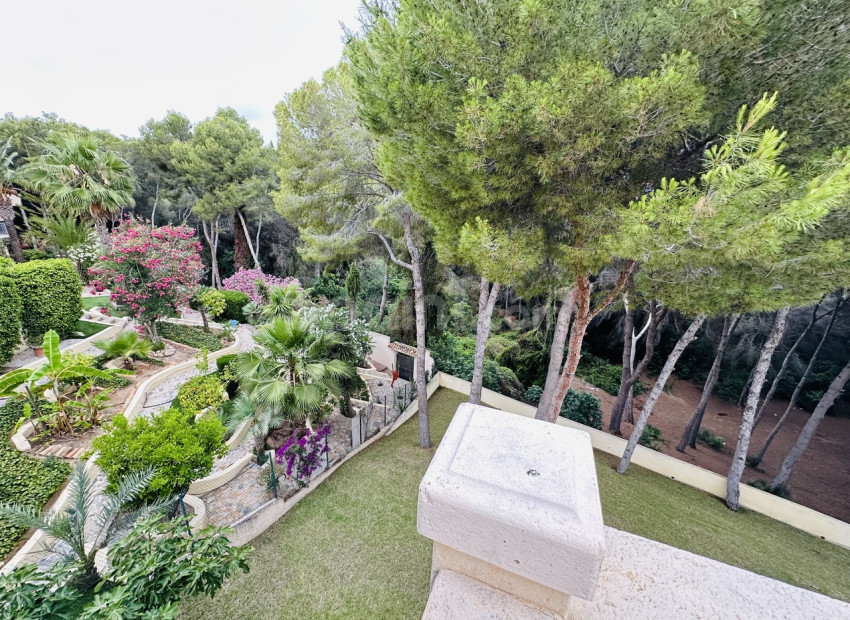 Nybygg - Villa -
Dehesa de Campoamor - Campoamor