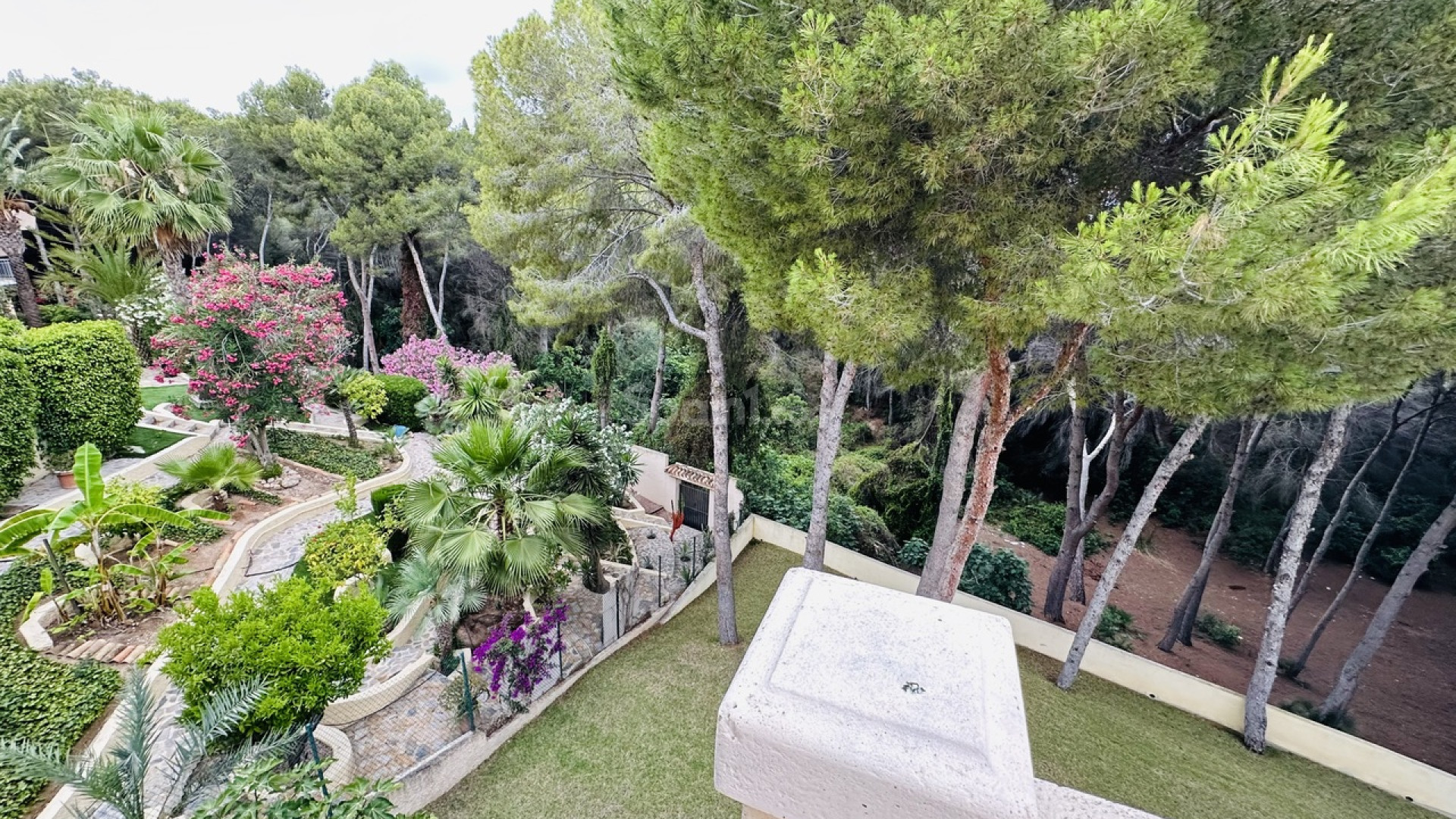 Nybygg - Villa -
Dehesa de Campoamor - Campoamor