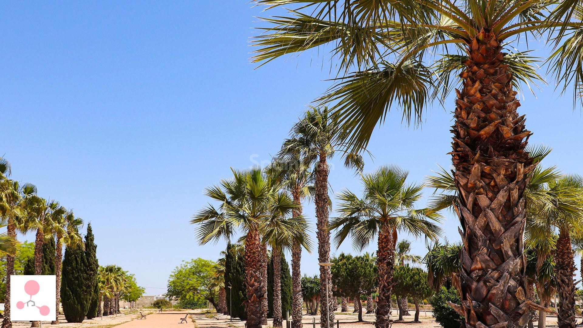 Nybygg - Villa -
San Fulgencio - La Escuera