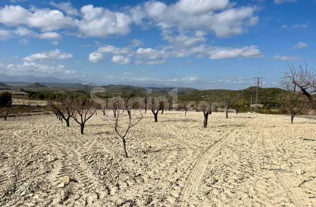 Parcela / Terreno - Segunda mano - Bullas - GS-54927