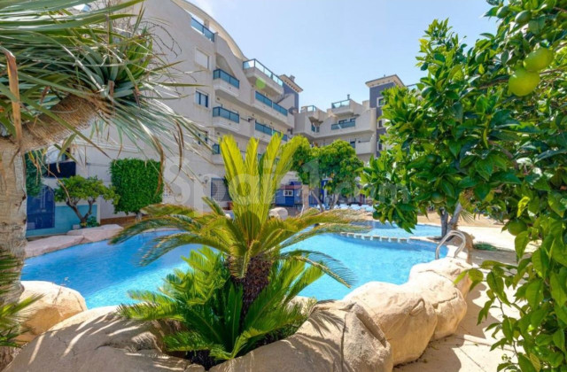 Penthouse - Bruktbolig - Cabo Roig - Cabo Roig