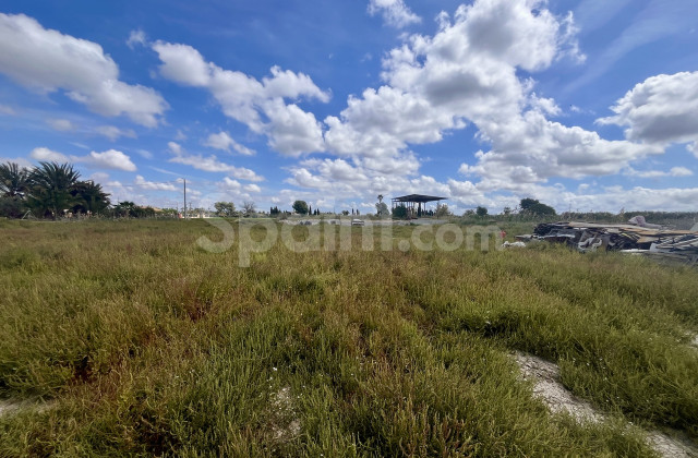 Plot - Resale - Catral - Catral