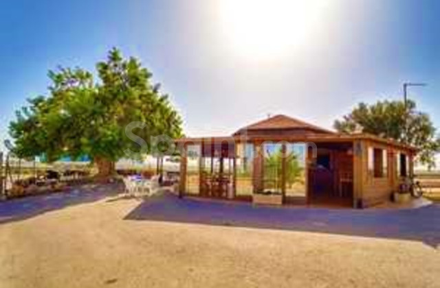 Plot - Resale - Torre Pacheco - Torre Pacheco