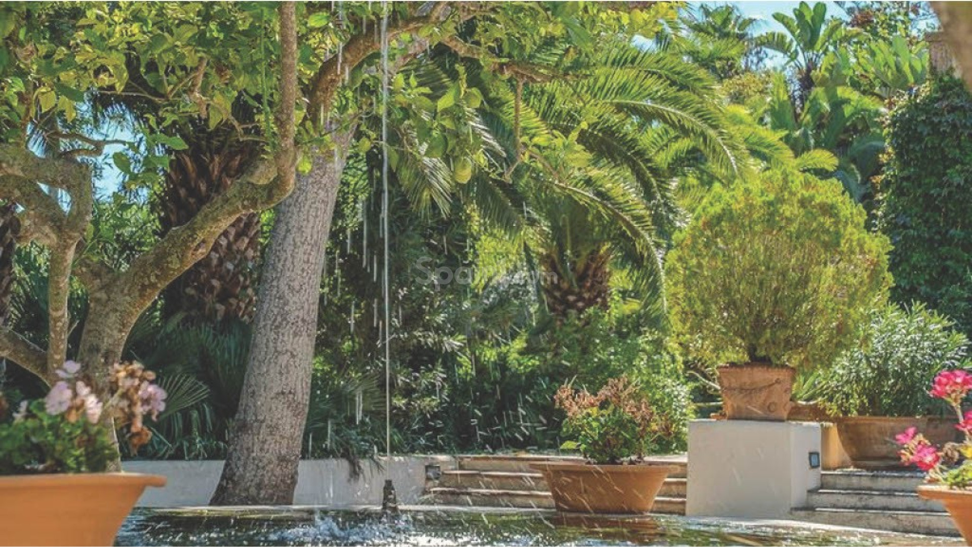 Resale - 5. Finca / Landgut -
Porto Cristo - Manacor