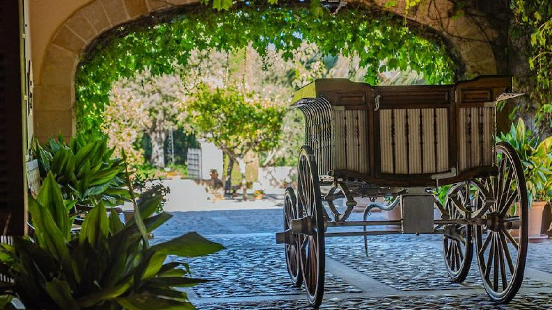Resale - 5. Finca / Landgut -
Porto Cristo - Manacor