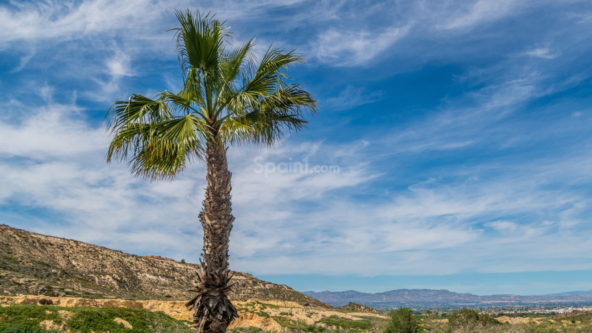 Resale - Apartment -
ALGORFA - LA FINCA GOLF / ALGORFA