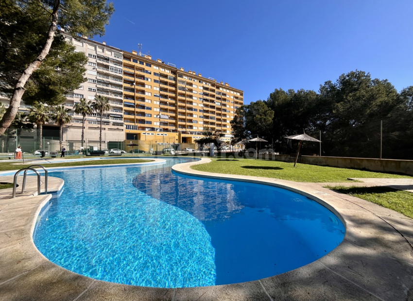 Resale - Apartment -
Dehesa de Campoamor - Campoamor