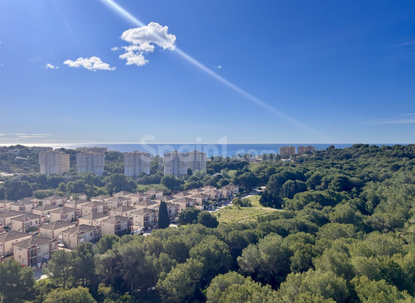 Resale - Apartment -
Dehesa de Campoamor - Campoamor