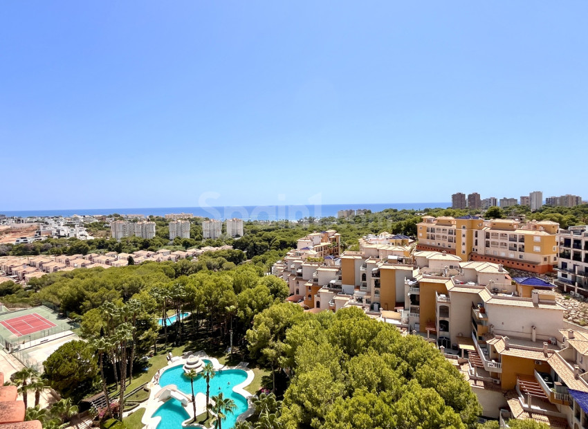 Resale - Apartment -
Dehesa de Campoamor - Campoamor
