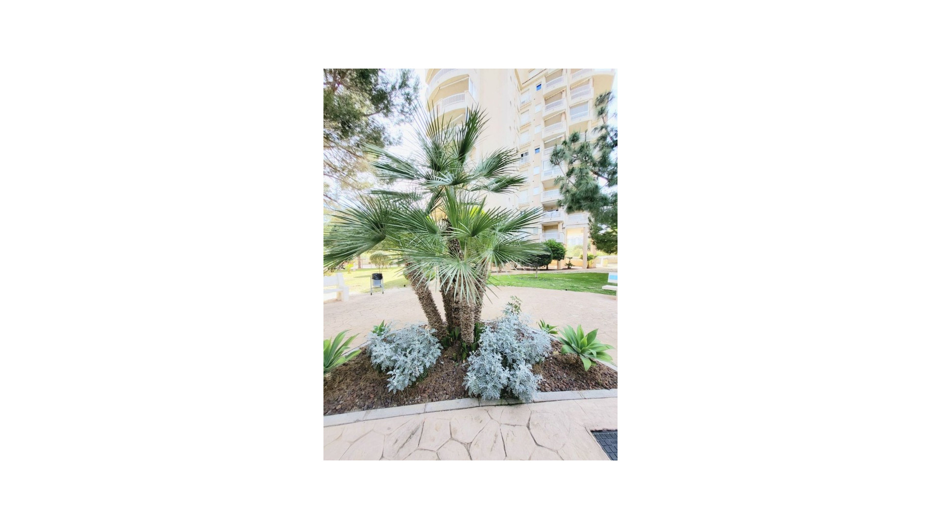 Resale - Apartment -
Dehesa de Campoamor - Campoamor