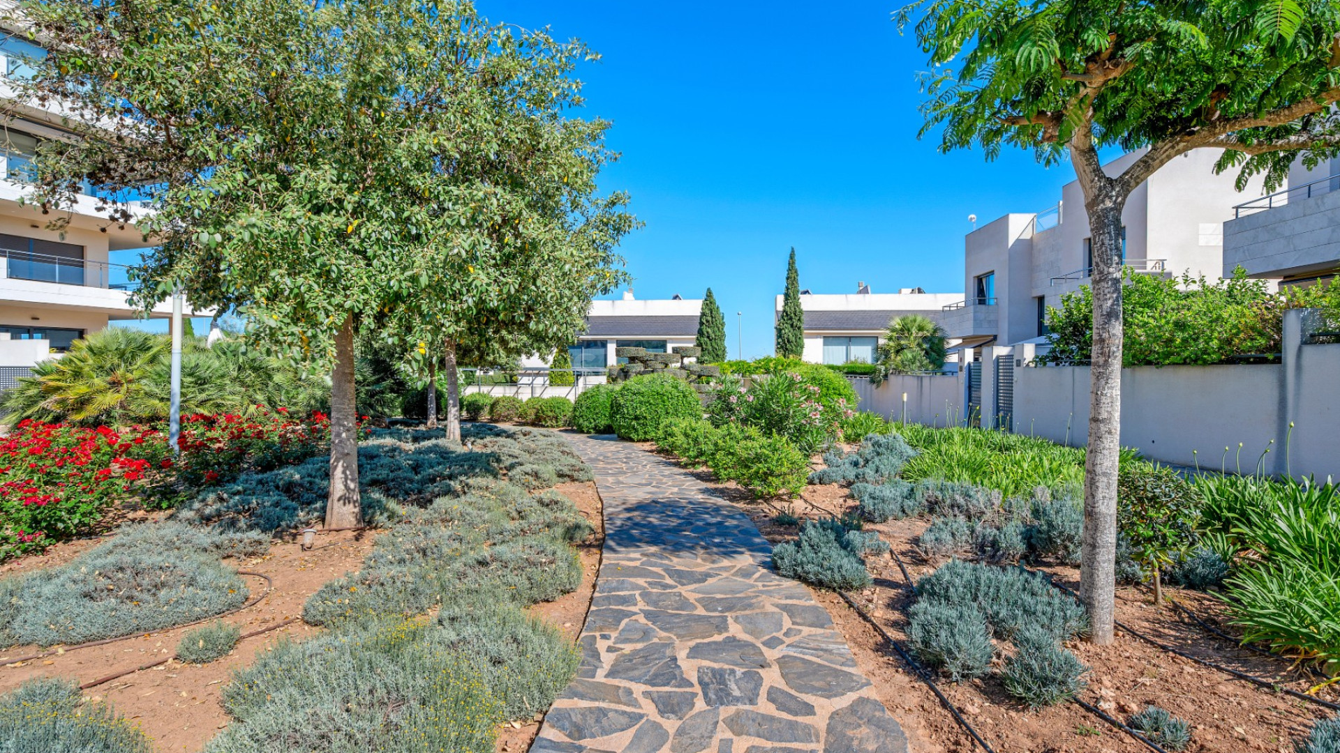 Resale - Apartment -
Los Dolses