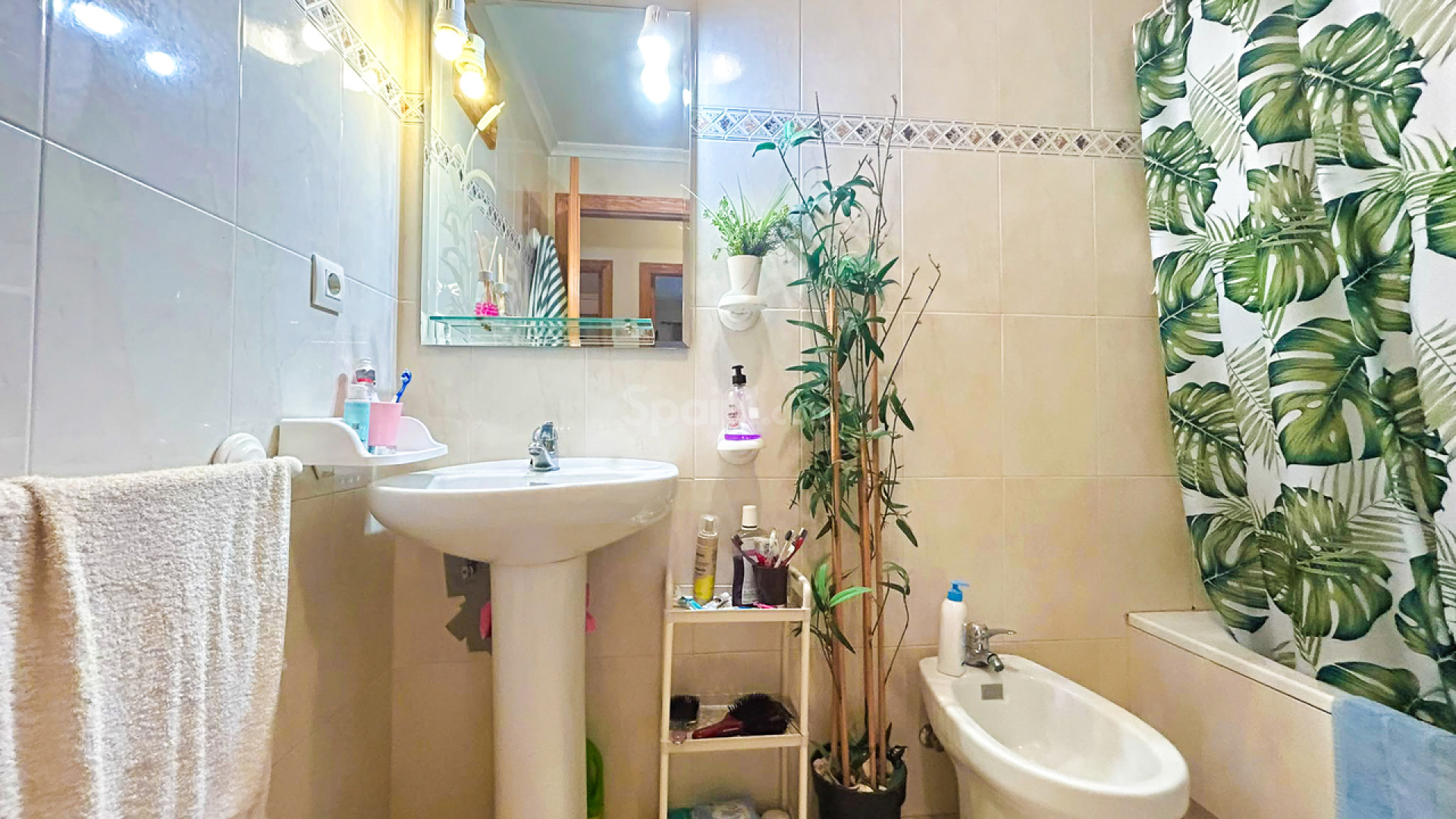 Resale - Apartment -
Mil Palmeras