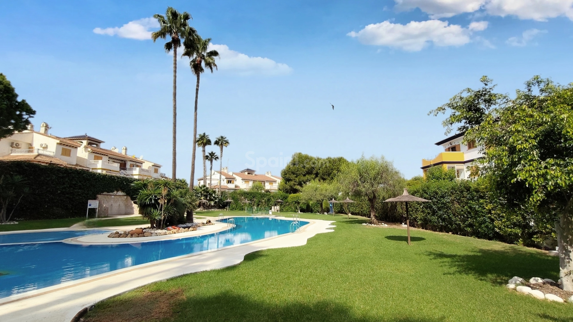 Resale - Apartment -
Mil Palmeras