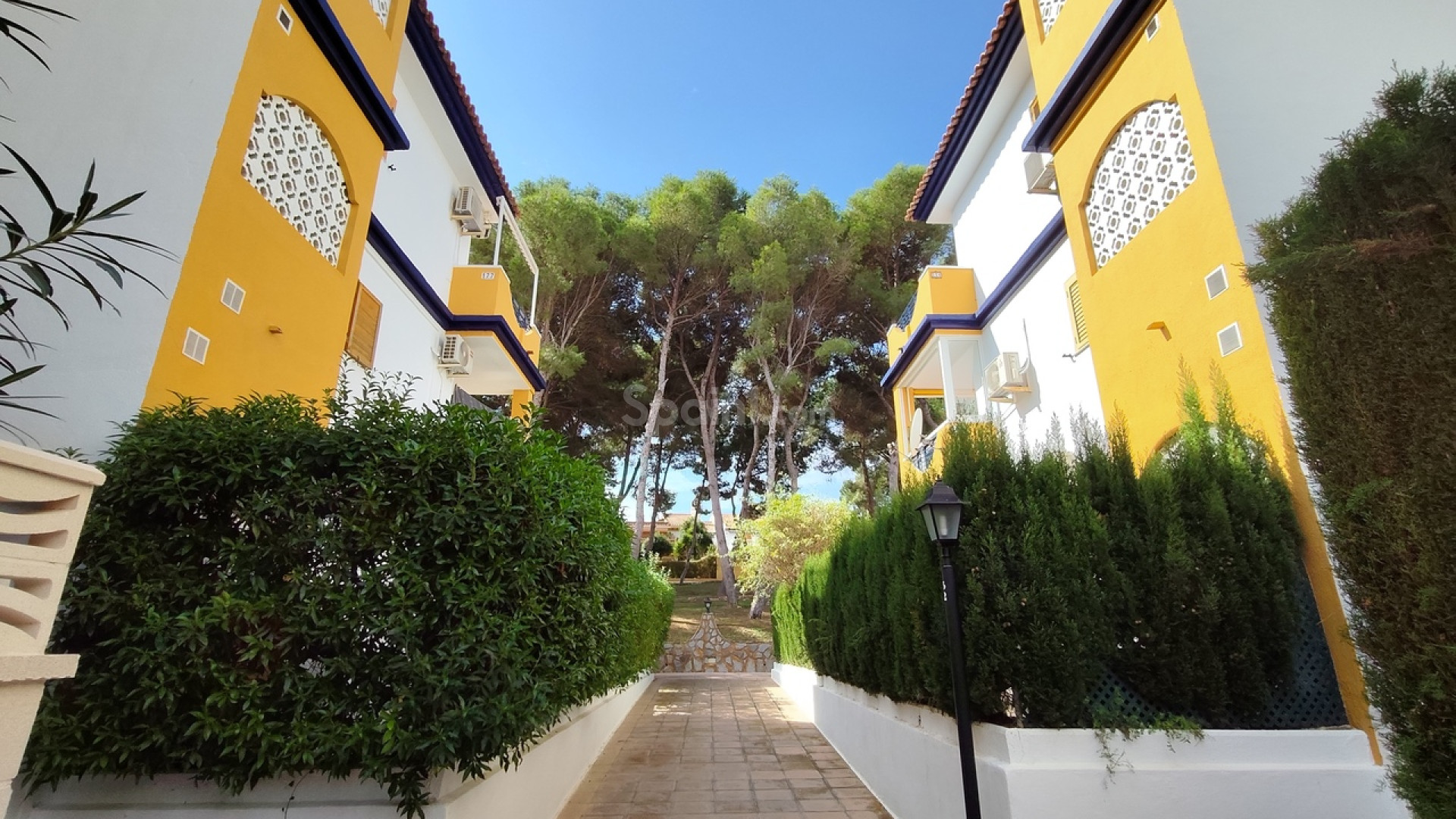 Resale - Apartment -
Mil Palmeras