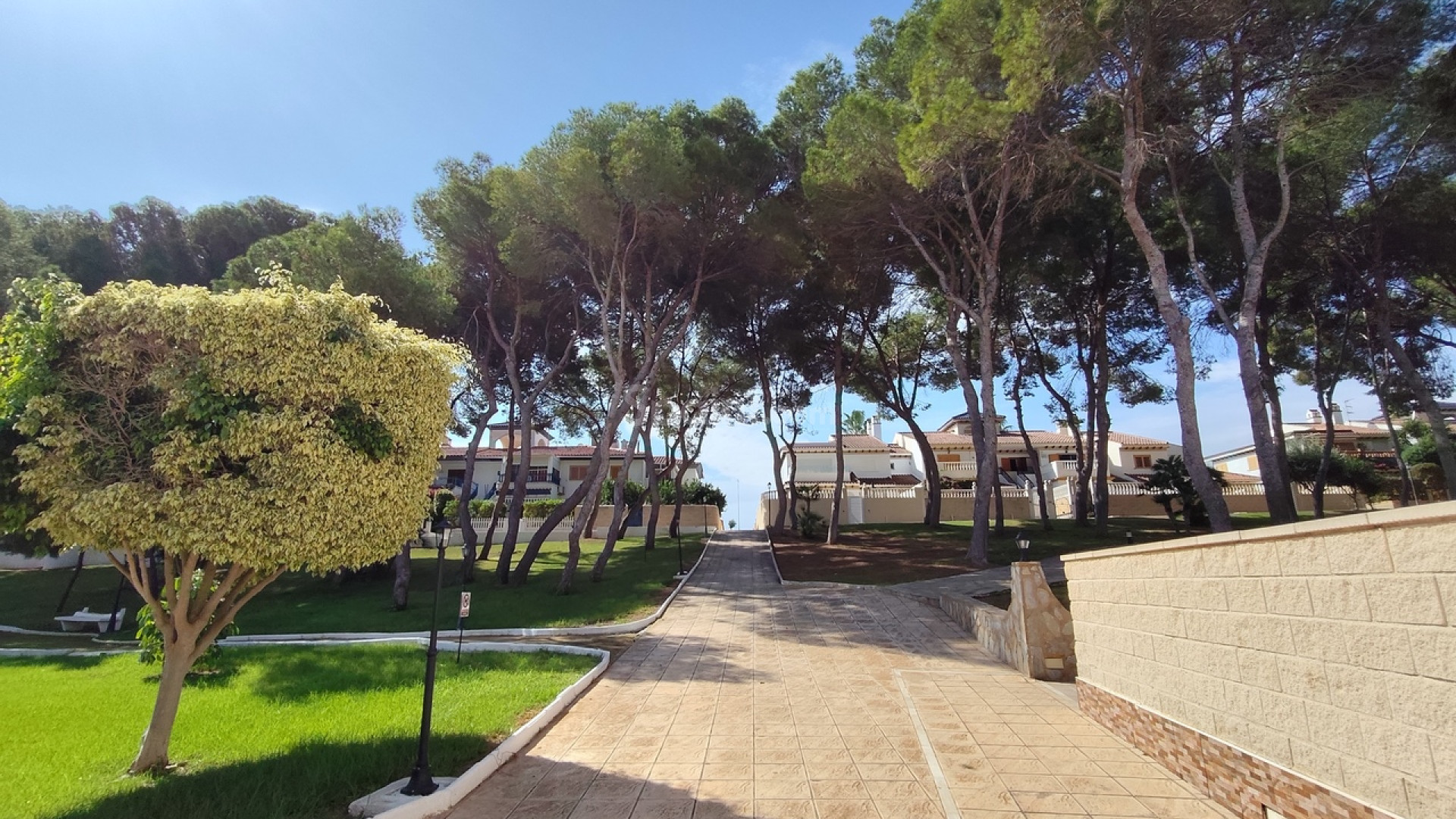 Resale - Apartment -
Mil Palmeras