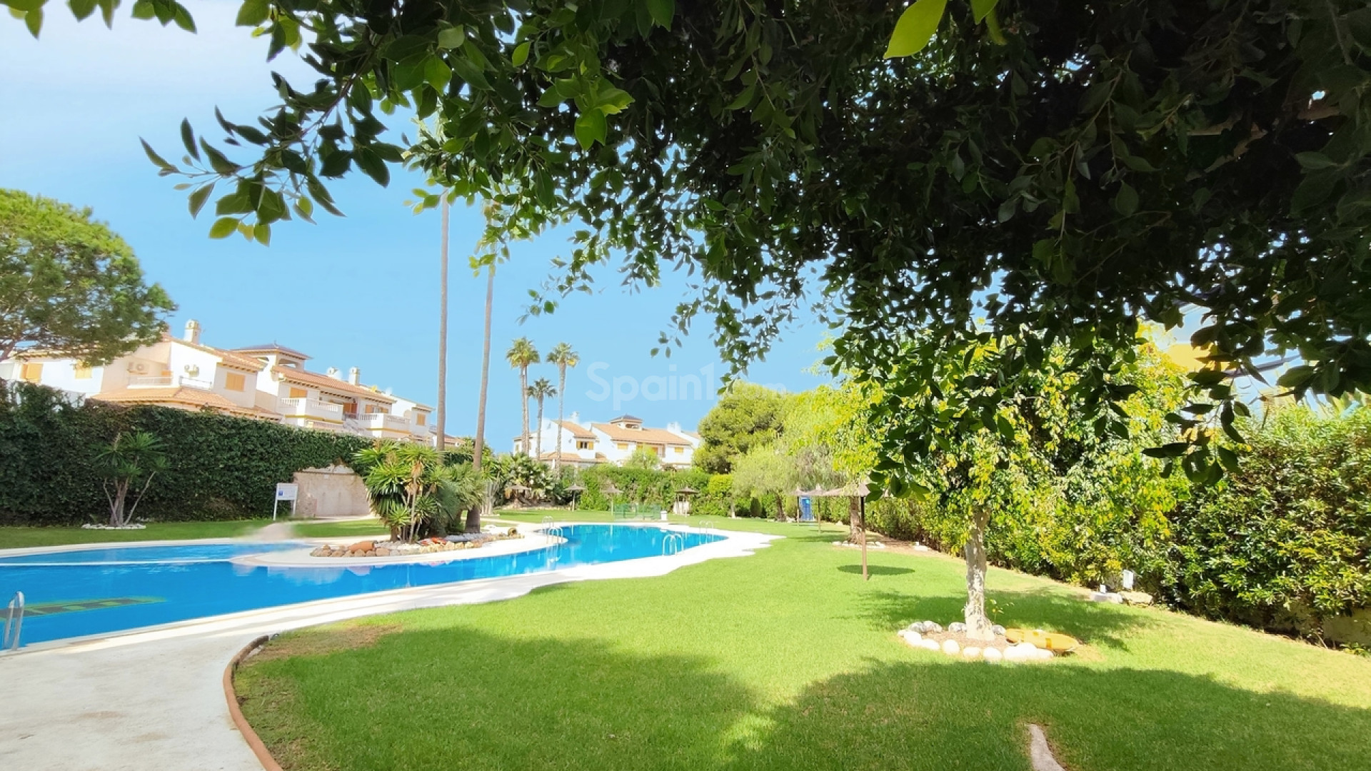 Resale - Apartment -
Mil Palmeras