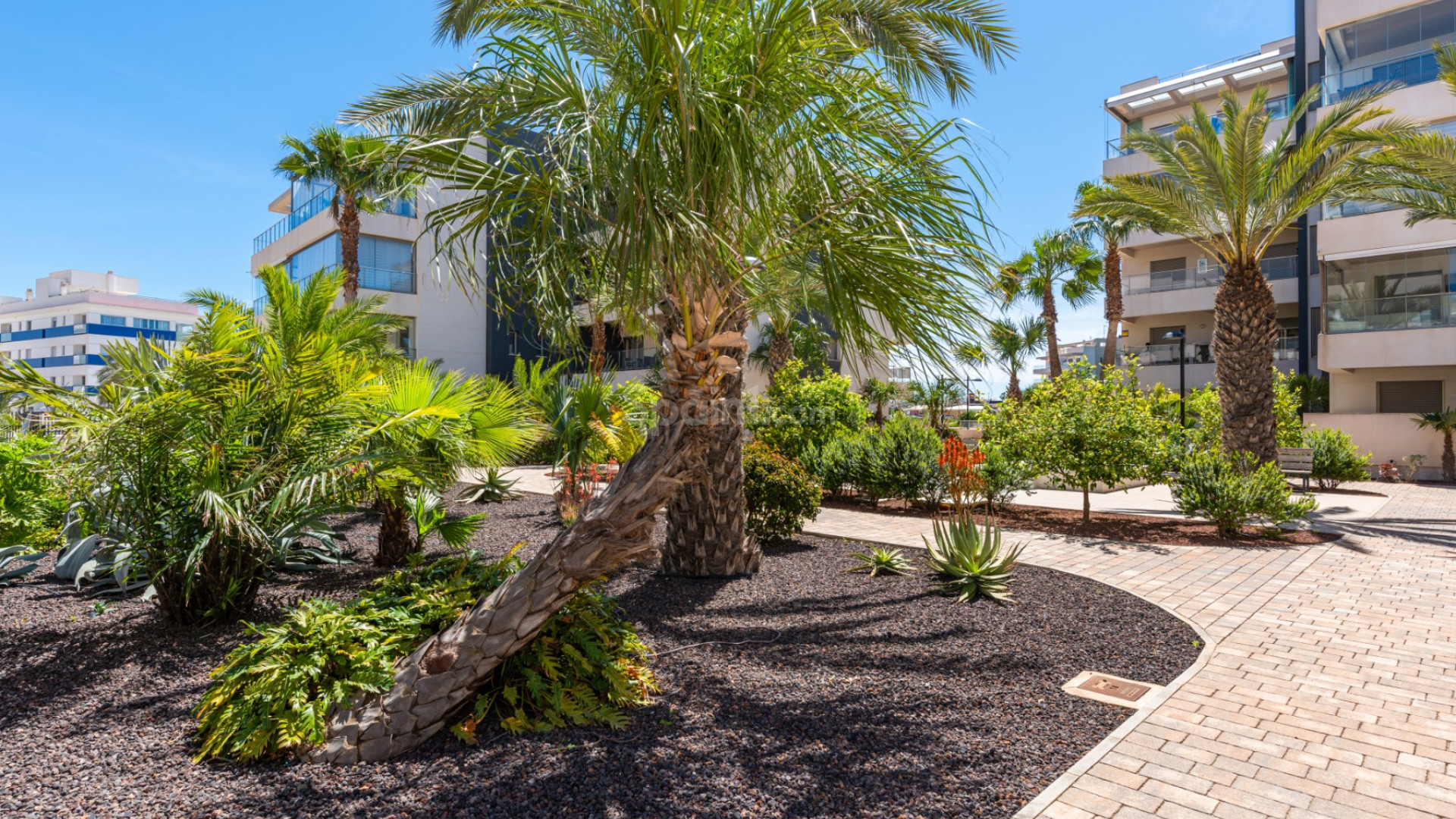 Resale - Apartment -
Orihuela Costa - El Barranco