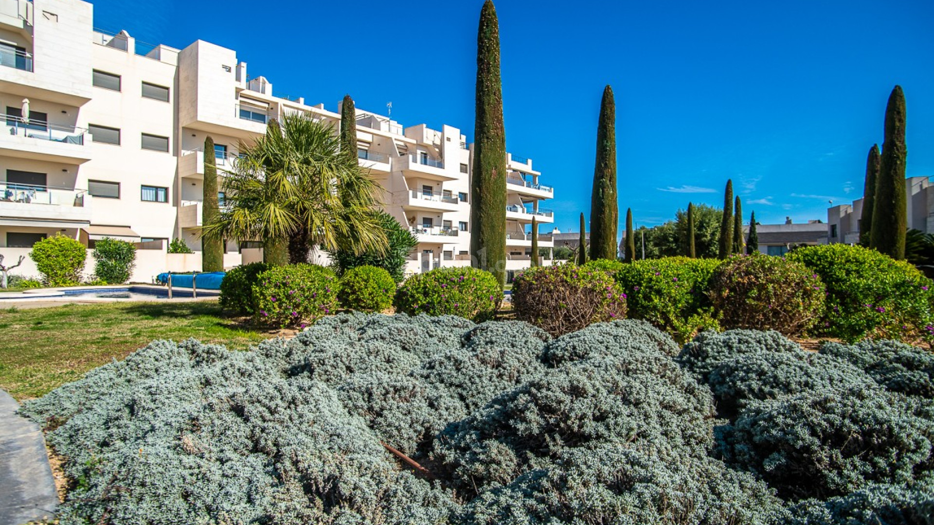 Resale - Apartment -
ORIHUELA COSTA - Orihuela Costa