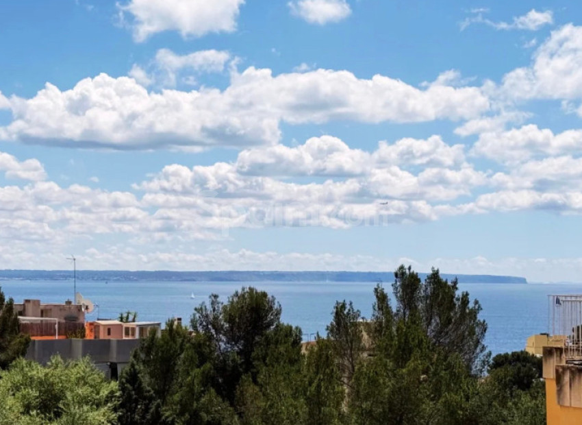 Resale - Apartment -
Palma - Sant Agustí