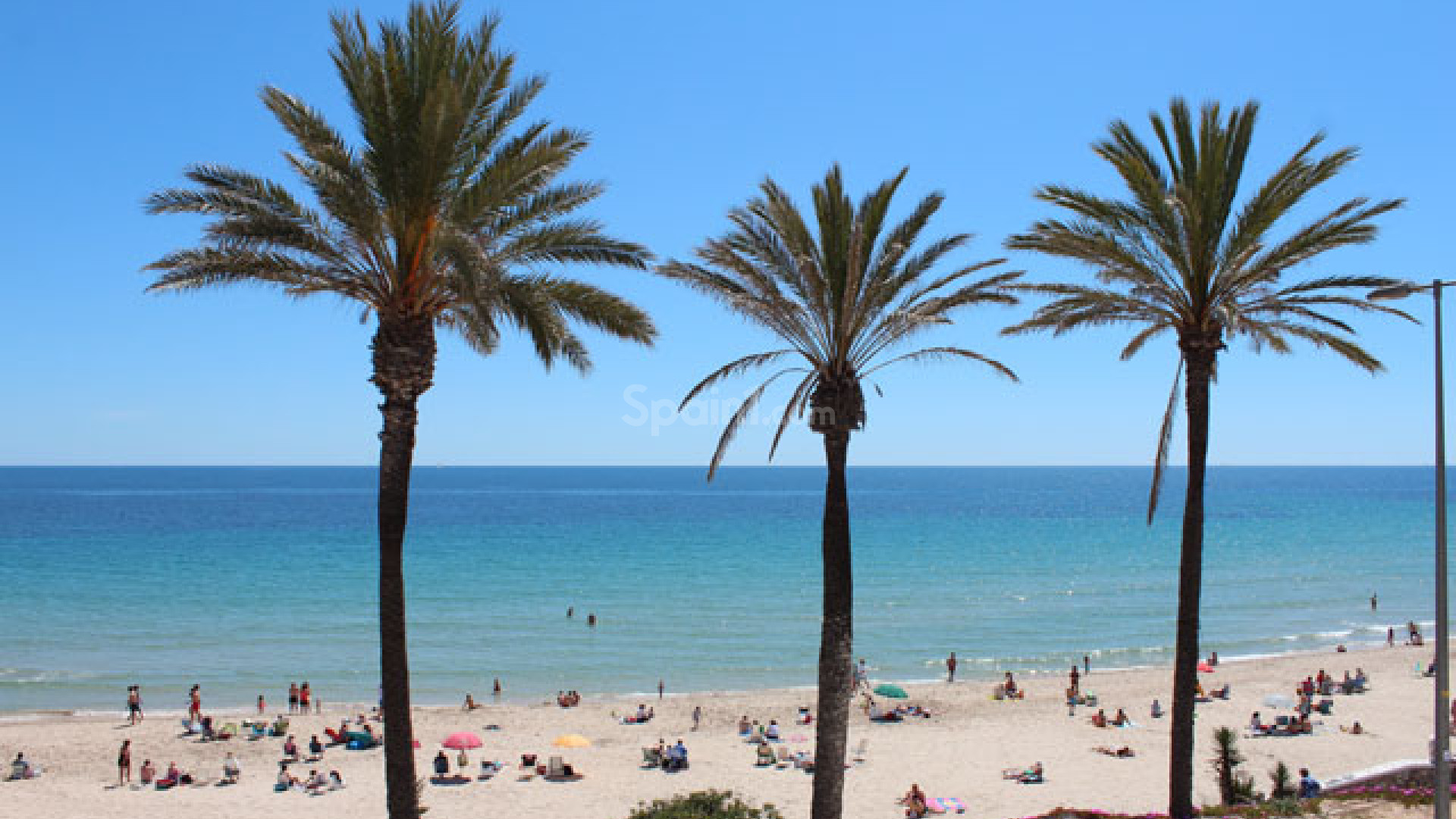 Resale - Apartment -
Pilar de la Horadada - Mil Palmeras