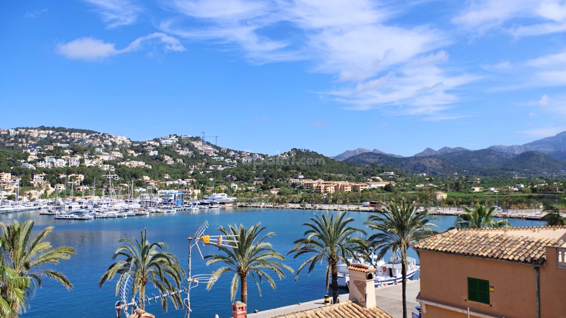 Resale - Apartment -
Port d'Andratx - Andratx