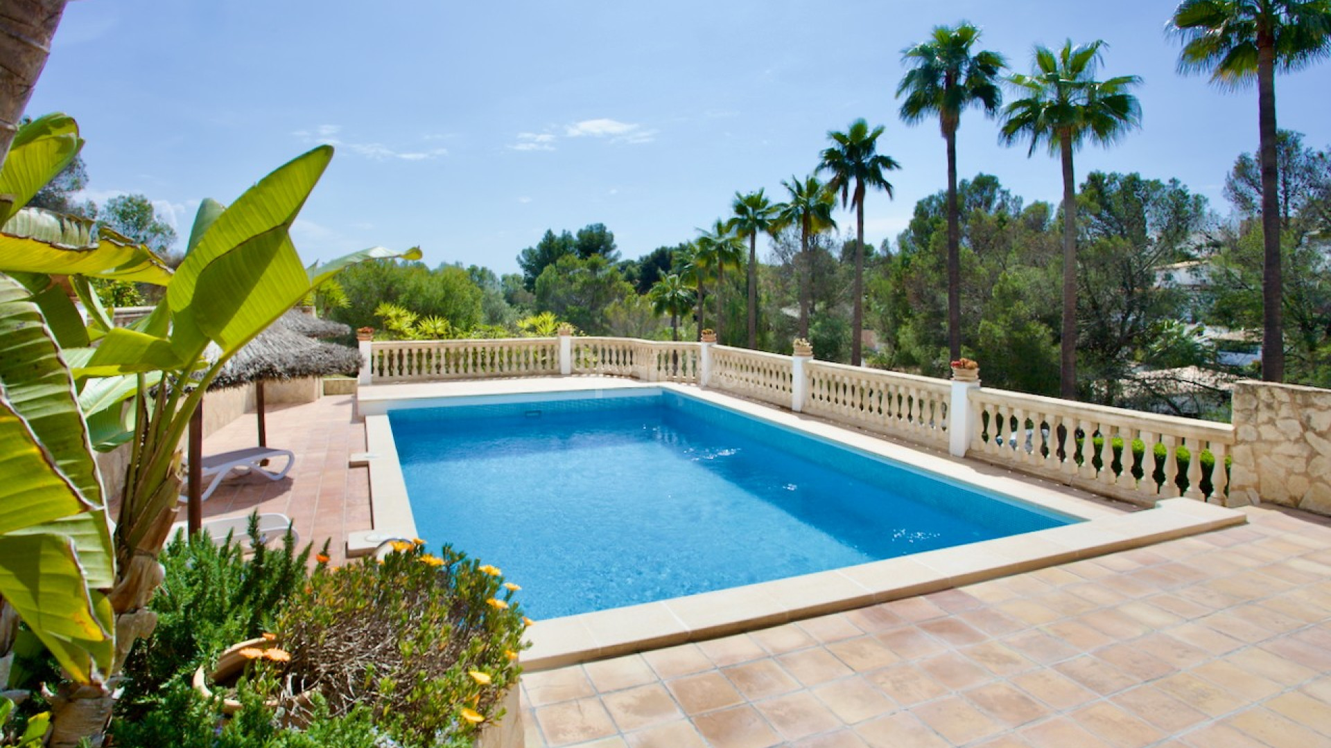 Resale - Apartment -
Portals Nous - Calvià