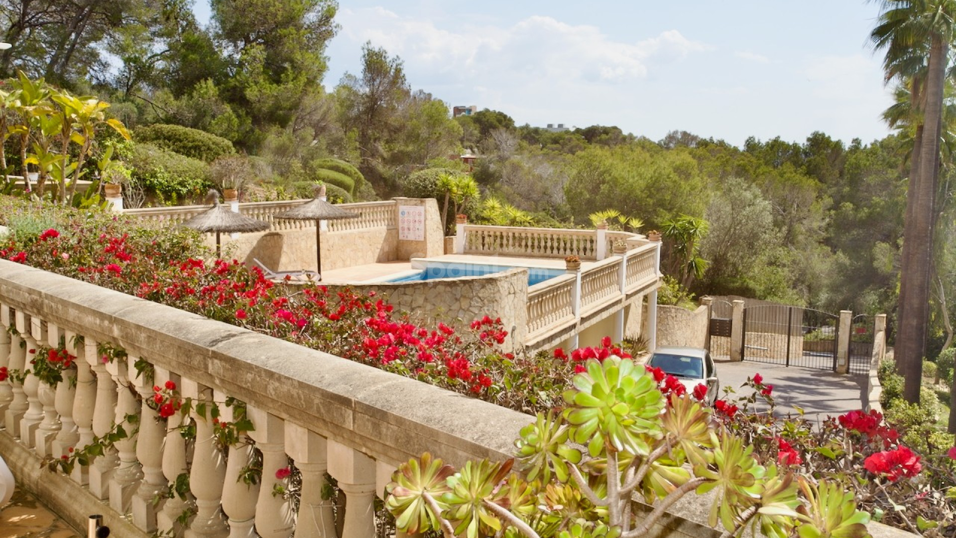 Resale - Apartment -
Portals Nous - Calvià