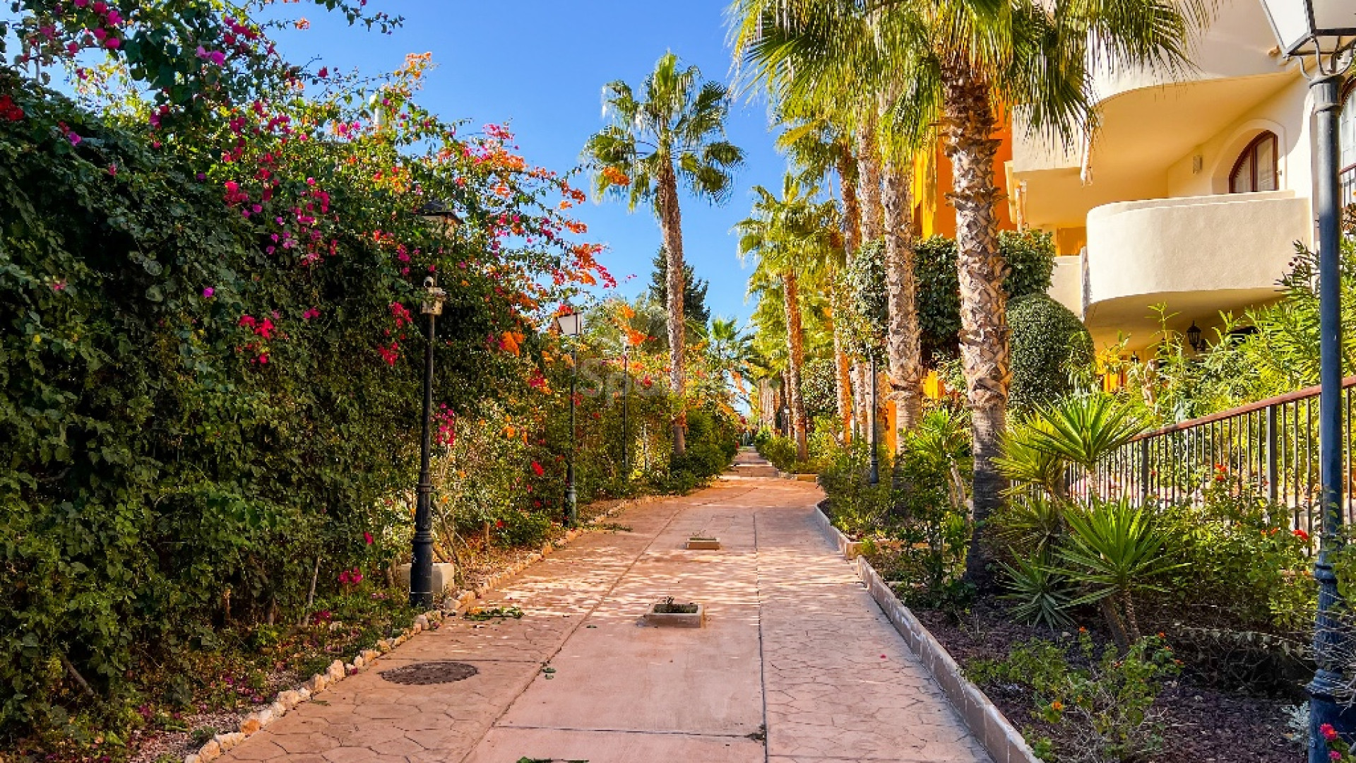 Resale - Apartment -
Punta Prima