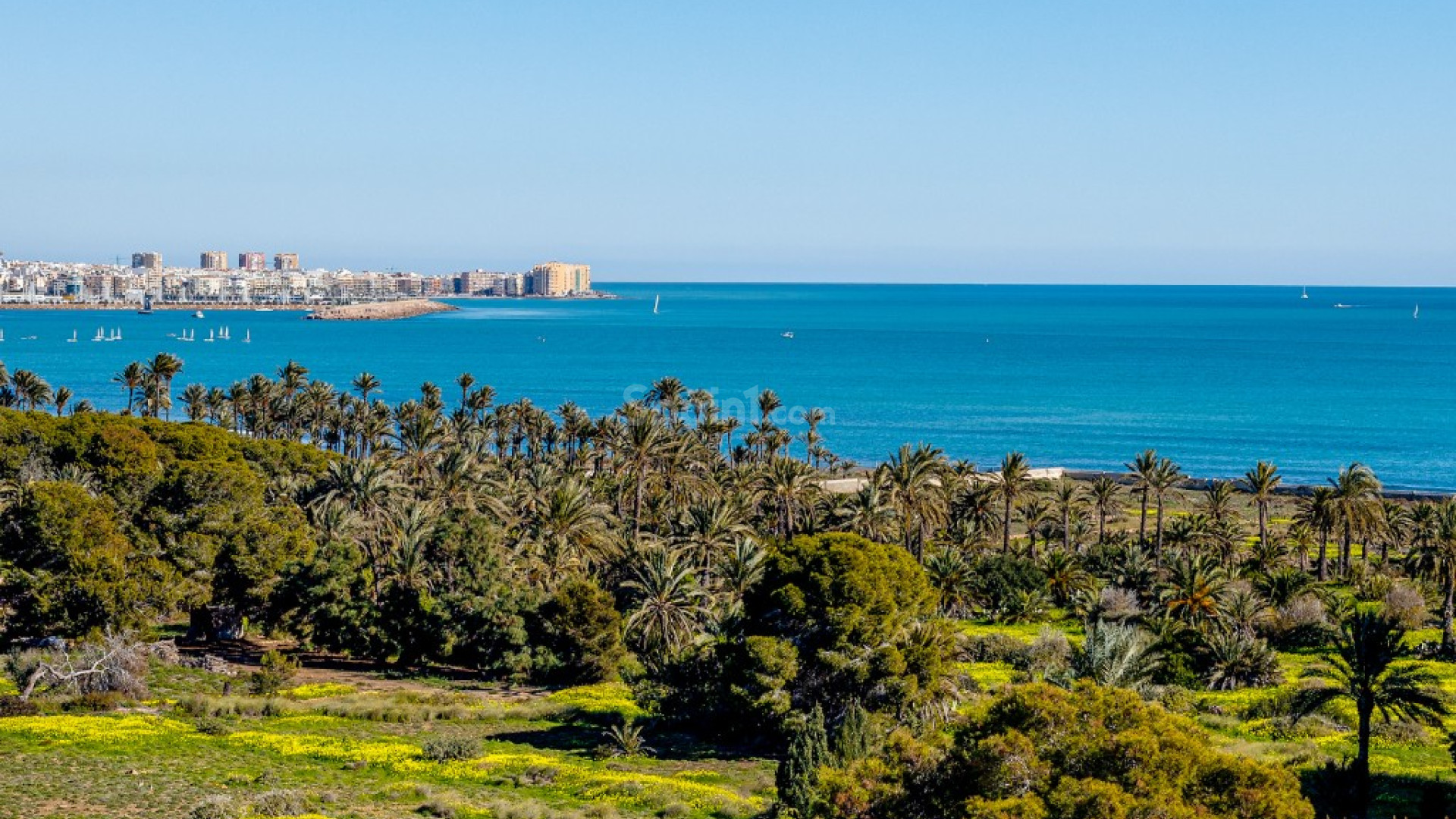 Resale - Apartment -
Punta Prima