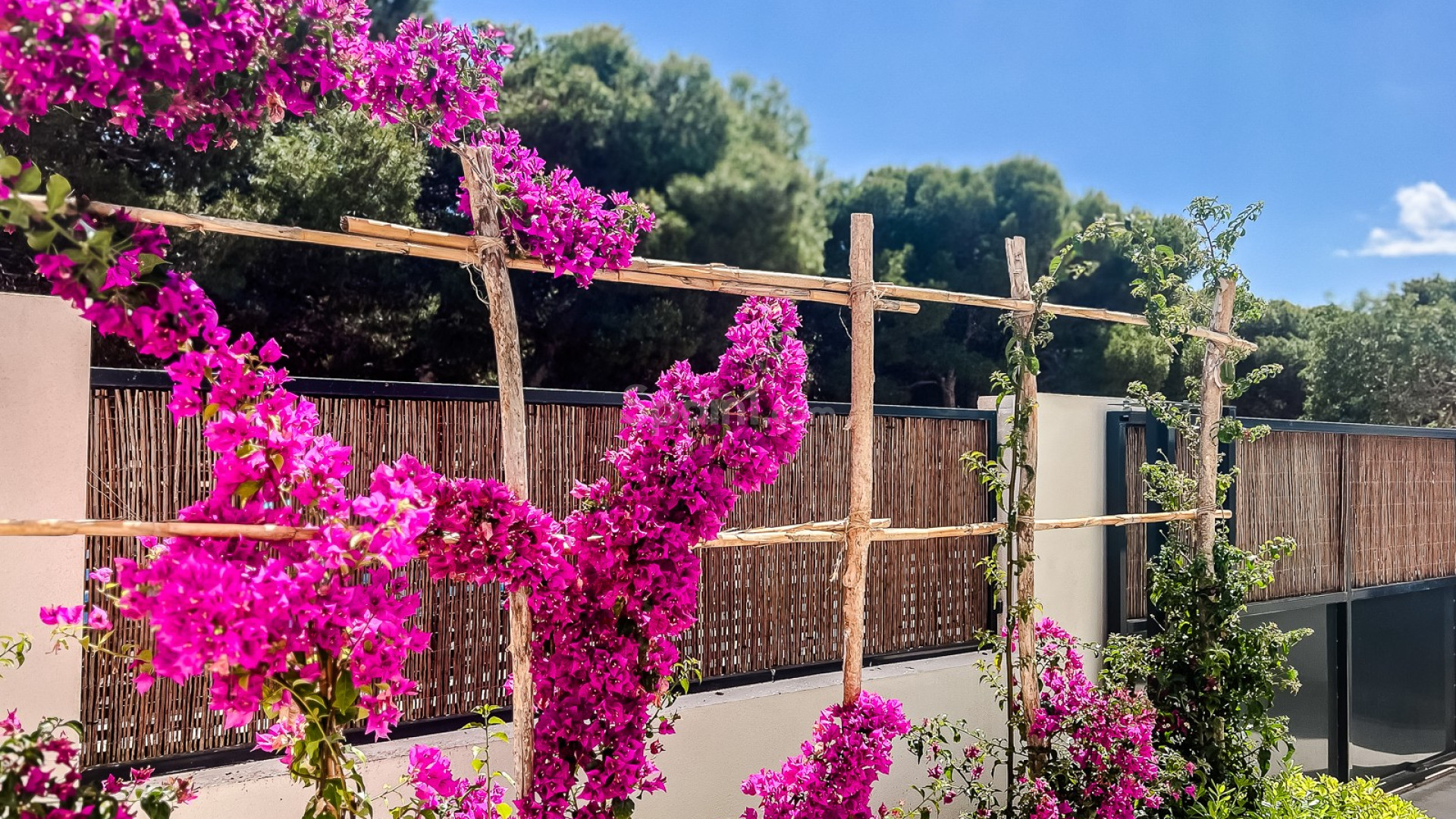Resale - Apartment -
San Javier - Santiago de la Ribera