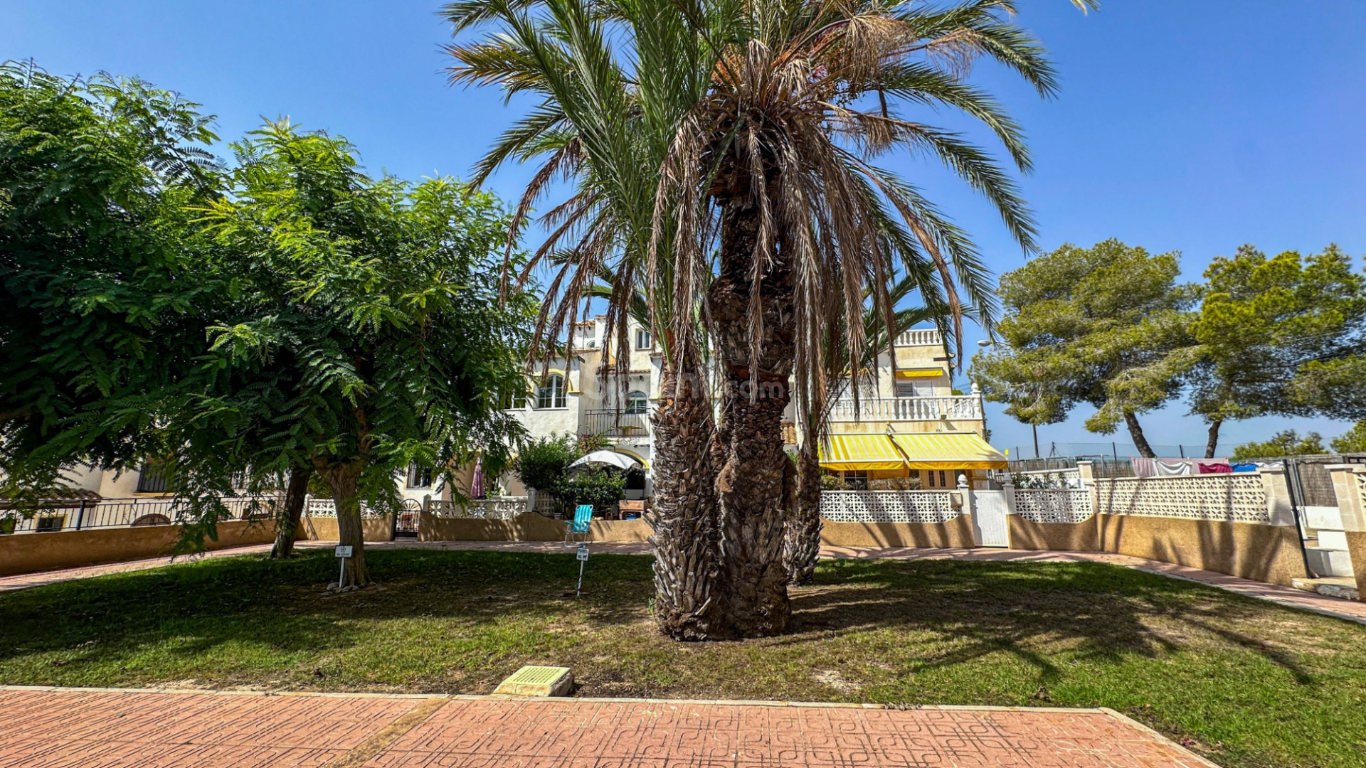 Resale - Apartment -
San Miguel de Salinas - Bellavista