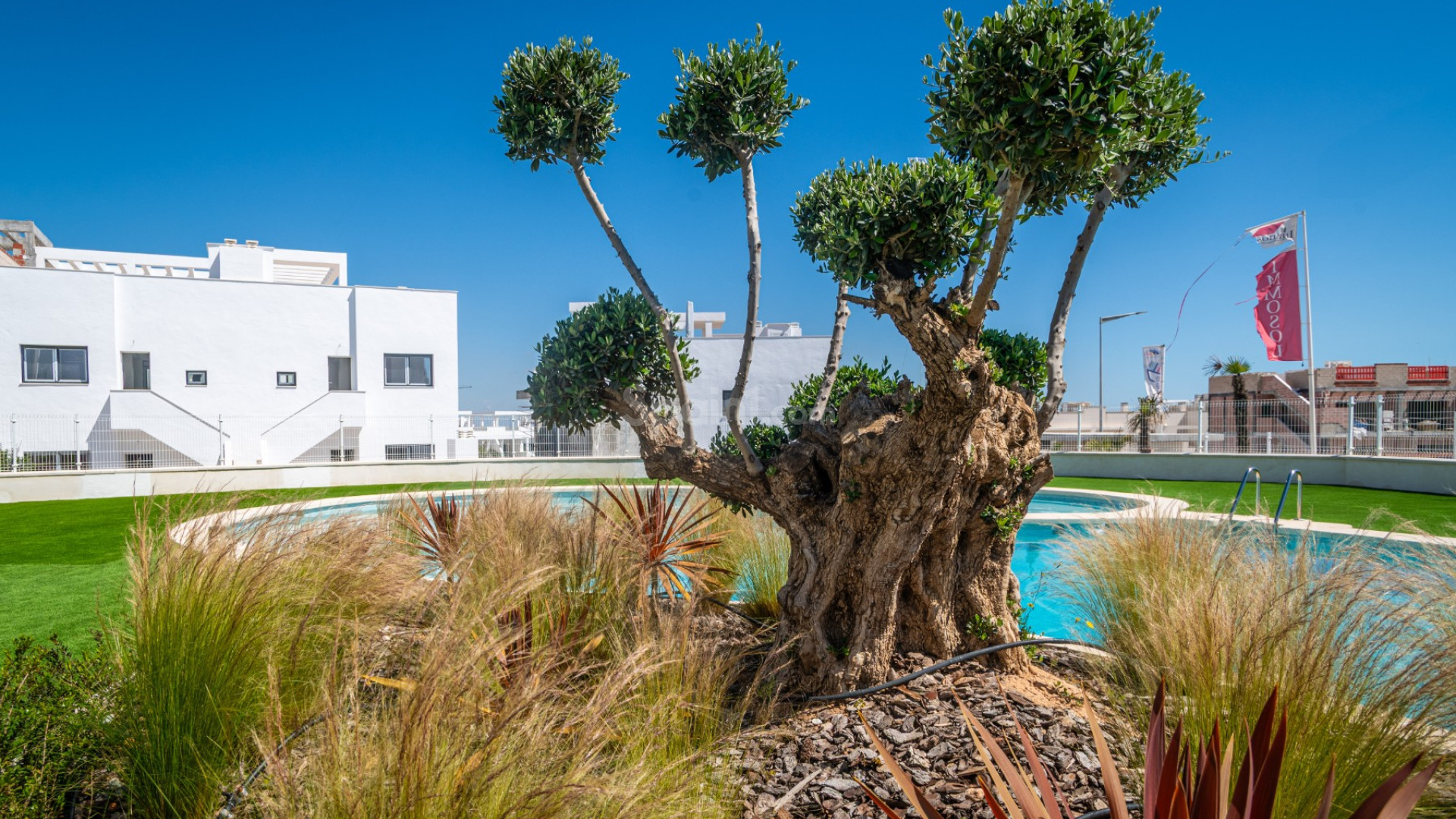 Resale - Apartment -
TORREVIEJA - Los Balcones
