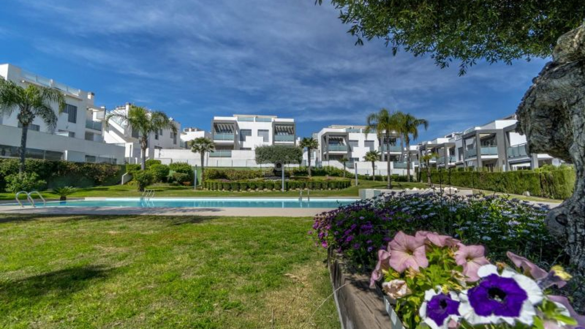 Resale - Apartment -
Torrevieja - Punta Prima