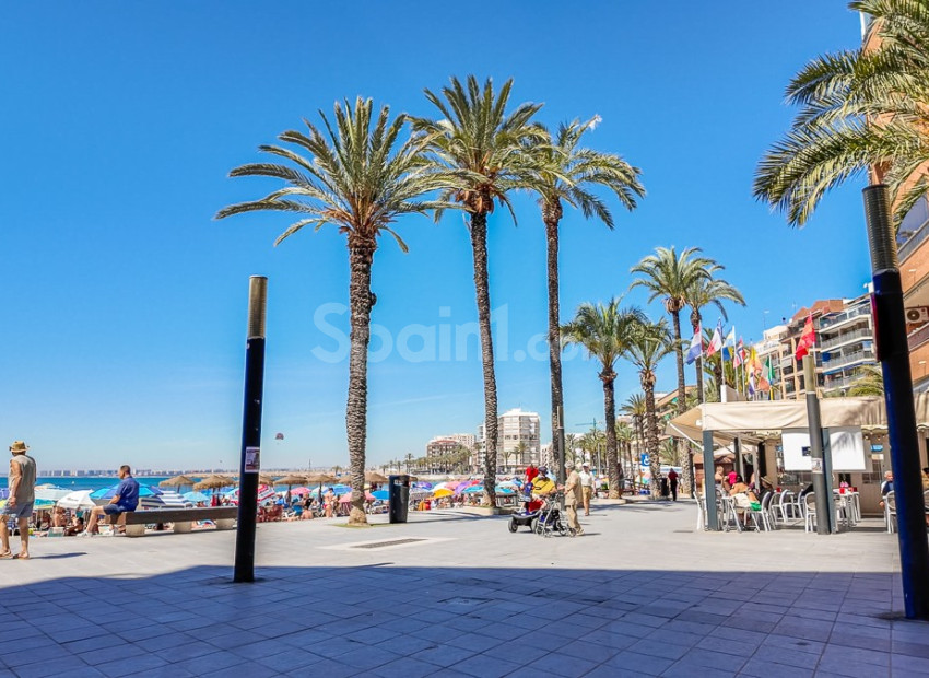 Resale - Apartment -
TORREVIEJA - Torrevieja