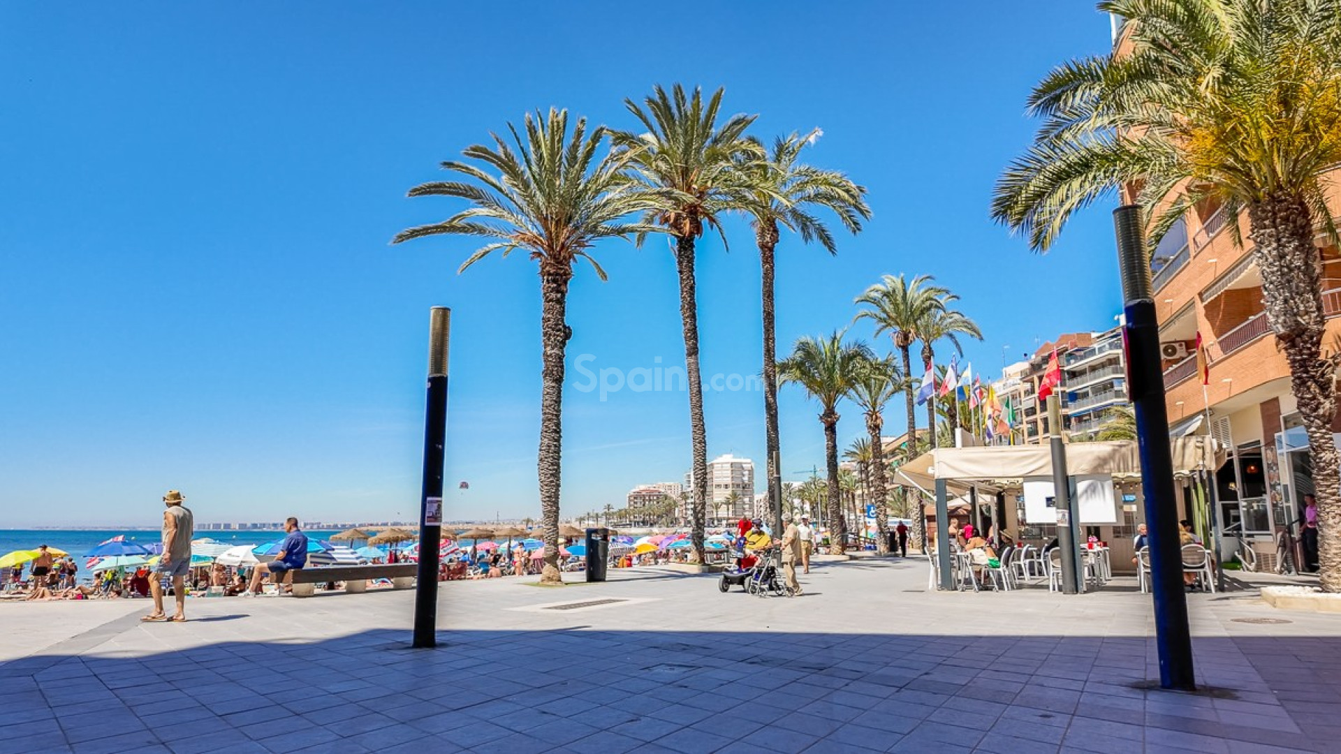 Resale - Apartment -
TORREVIEJA - Torrevieja