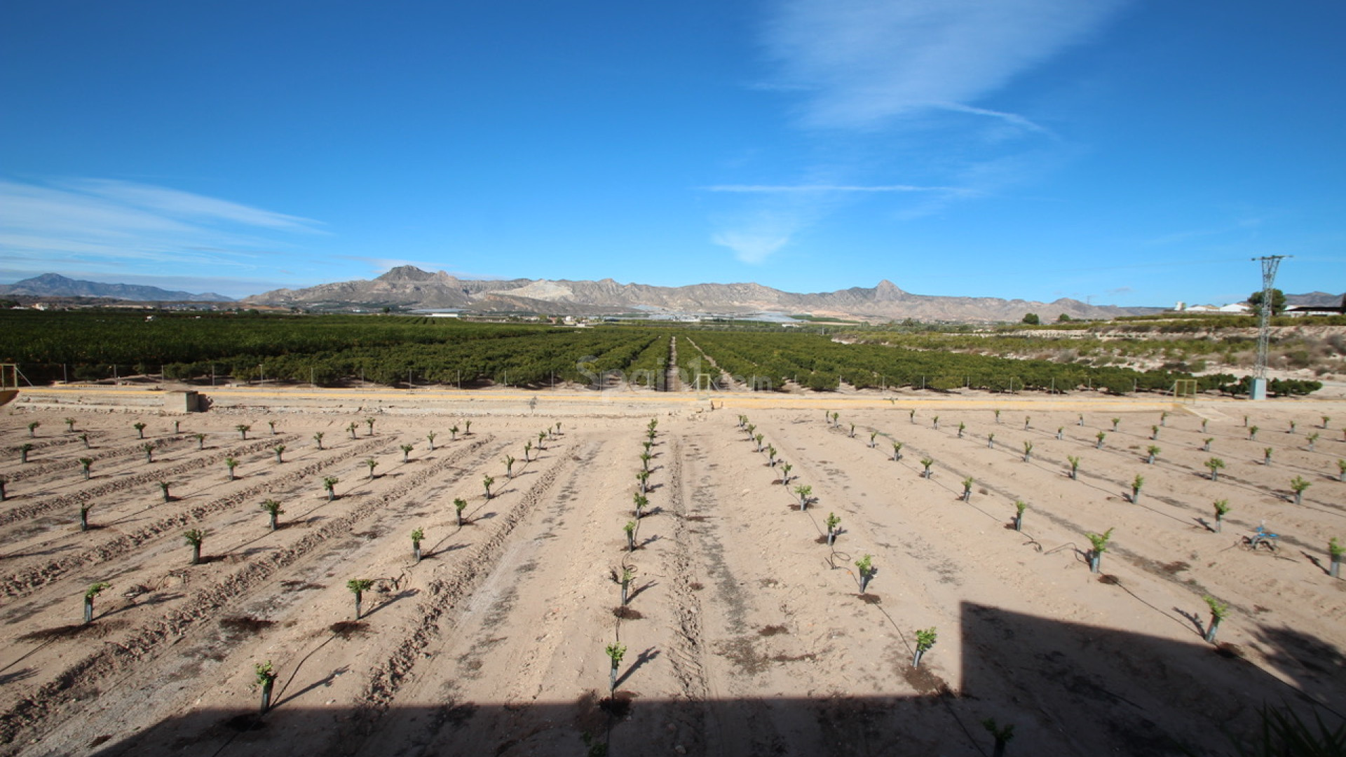 Resale - Finca / Country House -
Murcia - Costa Blanca Sur