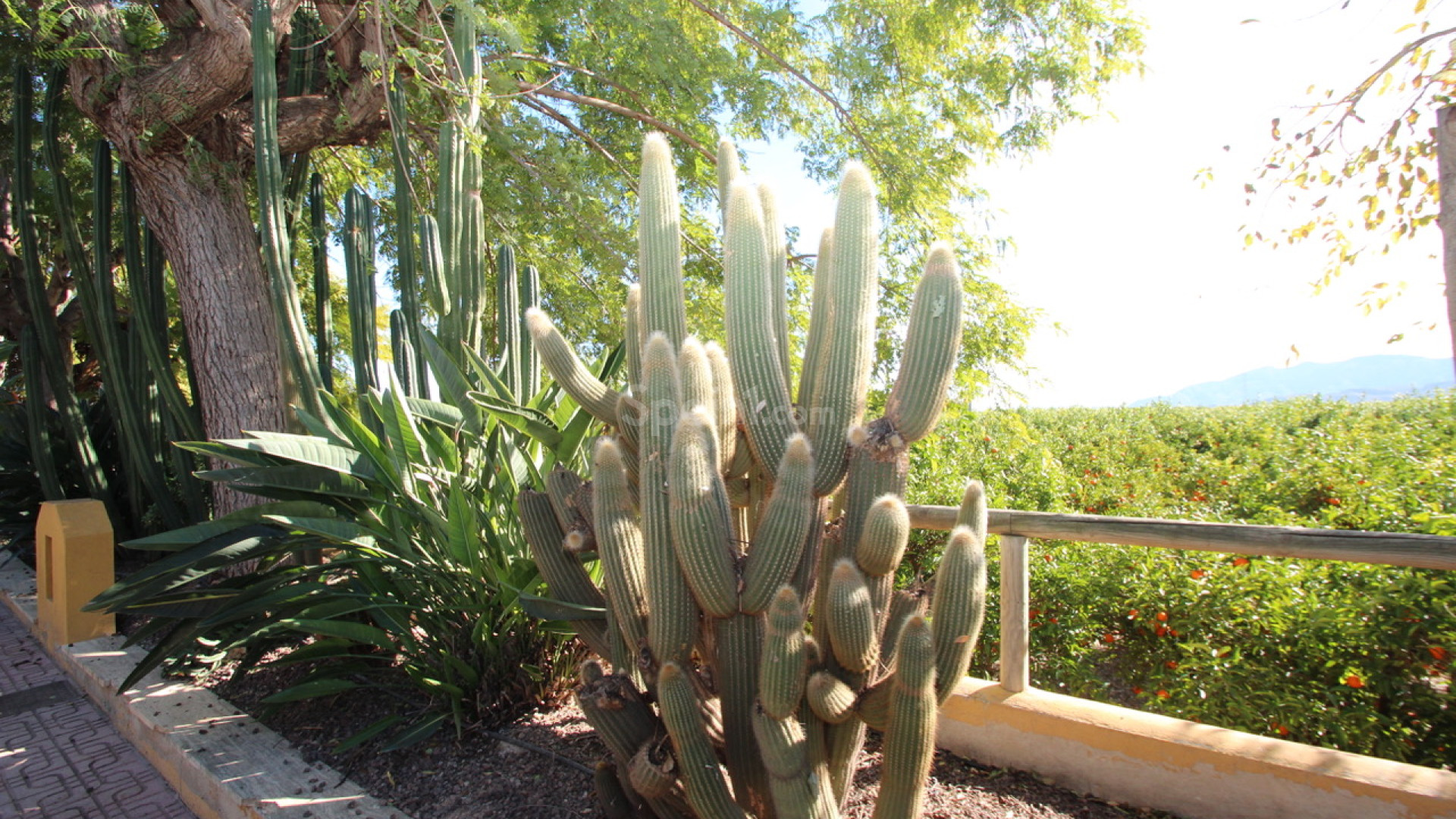 Resale - Finca / Country House -
Murcia - Costa Blanca Sur