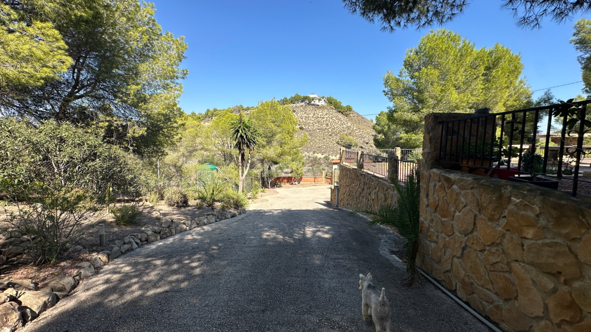 Resale - Finca / Landhaus -
San Miguel de Salinas - Costa Blanca Sur