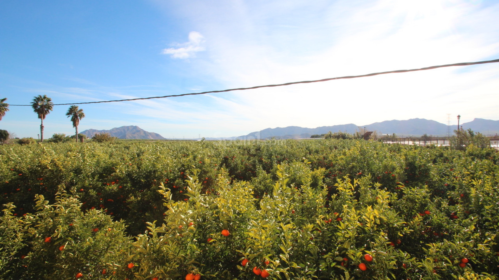 Resale - Finca / Landsbygdshus -
Murcia - Costa Blanca Sur